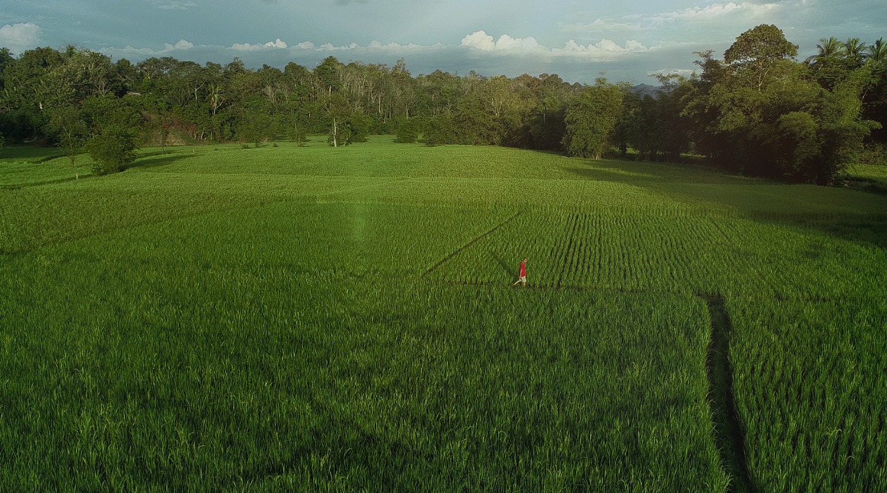 Pemandangan Nagari Pematang Panjang